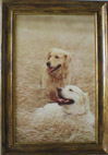 Coloured photograph on canvas in the authorīs frame, 30x20 cm, photo by Marketa Zelenkova